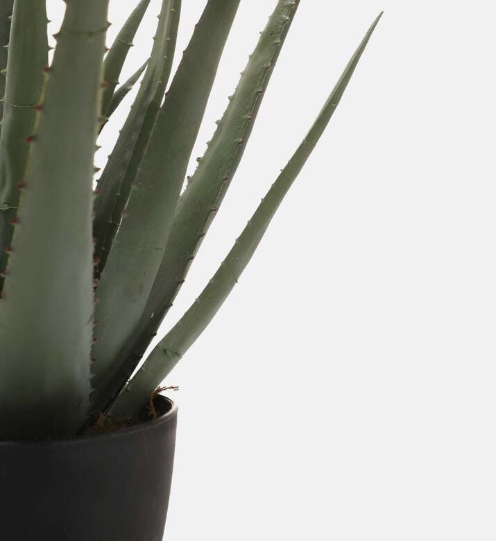 Home Deco and More Artificial Aloa Vera Pot, Packshot View