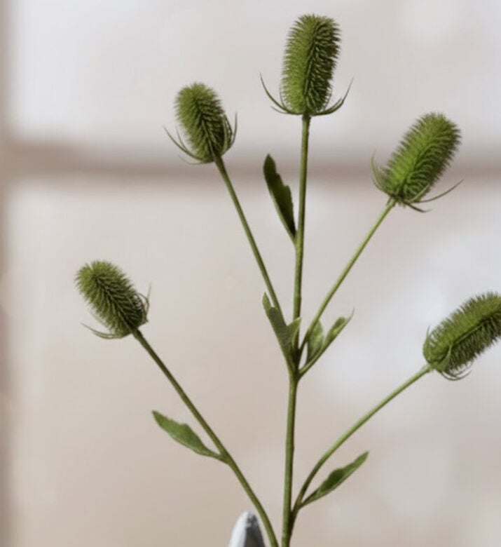 Edg Cardo Ramo Faux Branch, Green, Packshot View