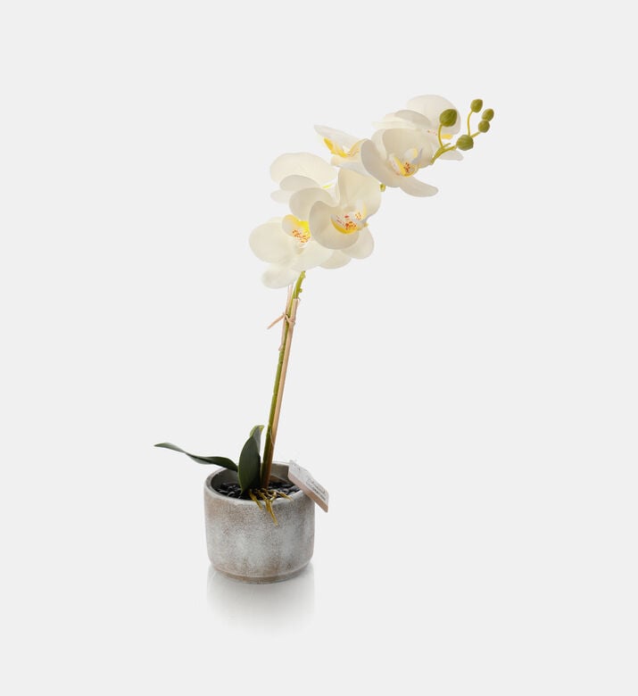 Artificial Orchid Flower Artificial Orchid Flower
