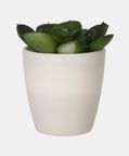 Artificial Plant Pot