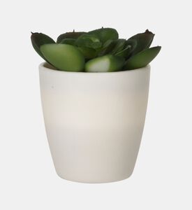 Artificial Plant Pot
