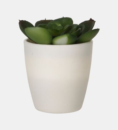 Artificial Plant Pot