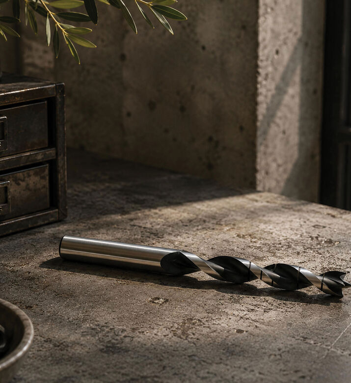 Triplex 3-point Wood Drill Bit, Packshot View