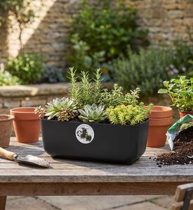 Home Deco and More Footed Flower Pot, Black, Packshot View