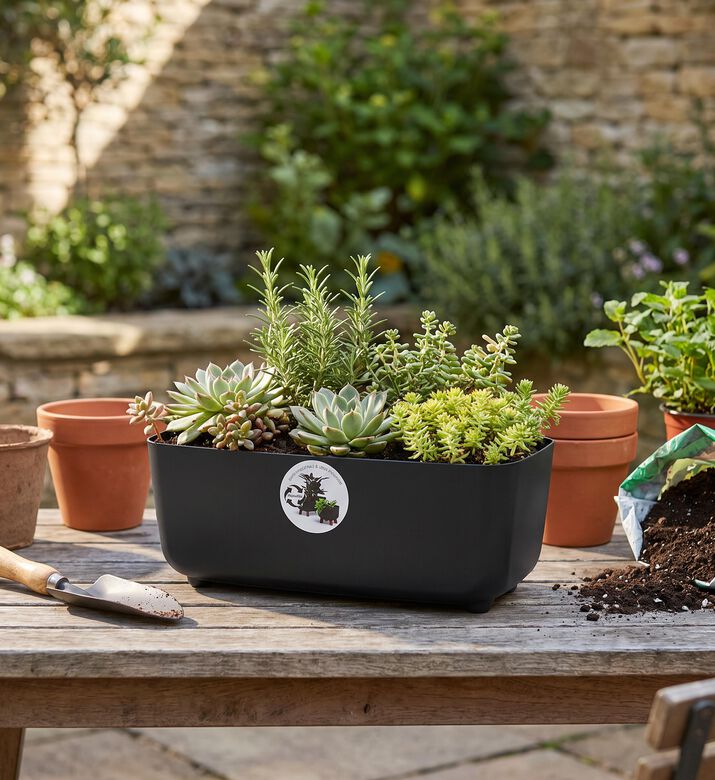 Home Deco and More Footed Flower Pot, Black, Packshot View