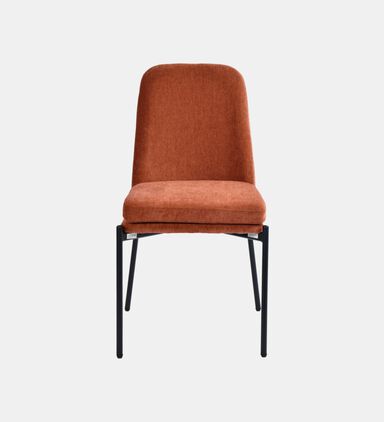 Sky Plywood Steel Dining Chair