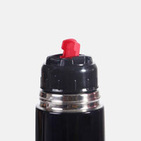 Metal Insulated Water Bottle