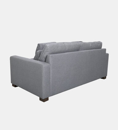 Samsee Fabric Pull-out Bed Sofa