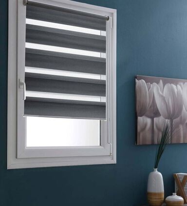 Day-night Roller Blind Curtain