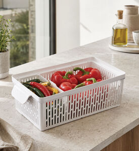 Oxo Produce Saver Medium Bin, Packshot View