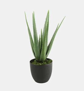 Decostar Aloe Faux Pot Plant, Packshot View