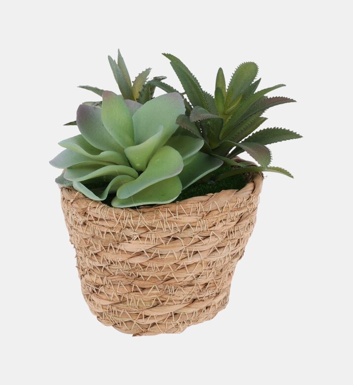 Seagrass Basket Artificial Succulent Plant