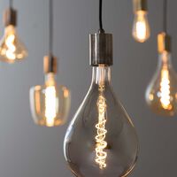 Asta D16 Led Light Bulb