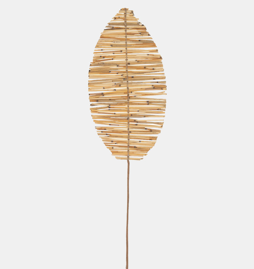 Wooden Leaf With Branch