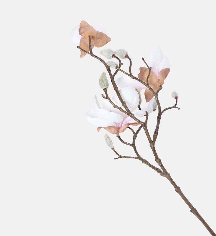 Magnolia Stell Ramo Faux Branch