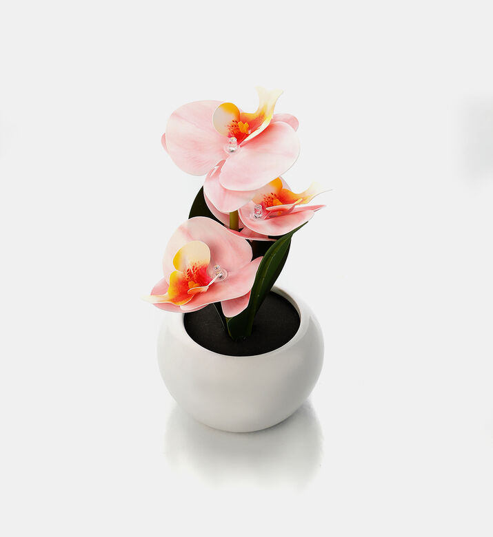 Ceramic Pot Artificial Led Orchid