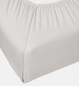 Jersey Fitted Sheet