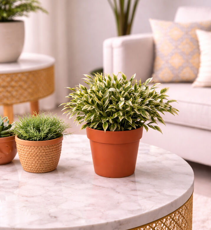 Home Deco and More Artificial Square Plant-in-pot, Packshot View