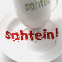 Sahtein Tea Cup Saucer