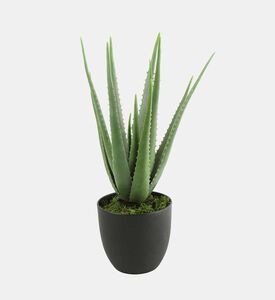 Aloe Faux Pot Plant