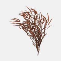 Dry Rust Wild Eucalyptus Bouquet