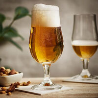 Premium Beer Glass 4-piece Set