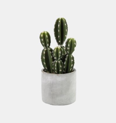 Cactaceae Hillock Medium Faux Pot
