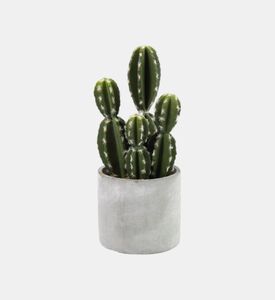 Cactaceae Hillock Medium Faux Pot