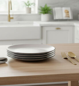 Home Deco and More Happy Stoneware Dinner Plate 4-piece Set, Packshot View