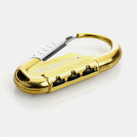 Stainless Steel Master Lock