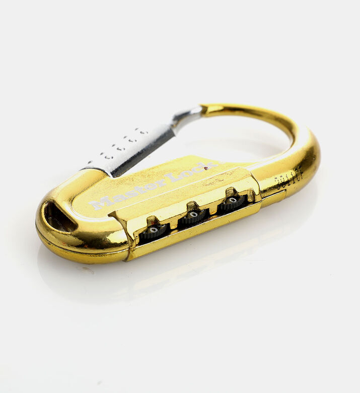 Stainless Steel Master Lock