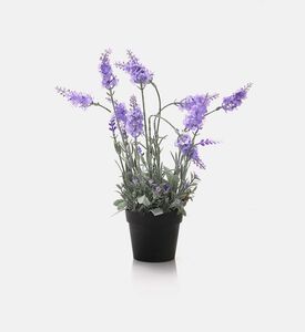 Plastic Lavender Round Pot