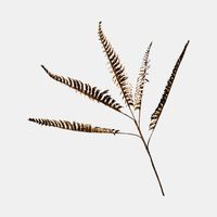 Gold Branch Christmas Decoration