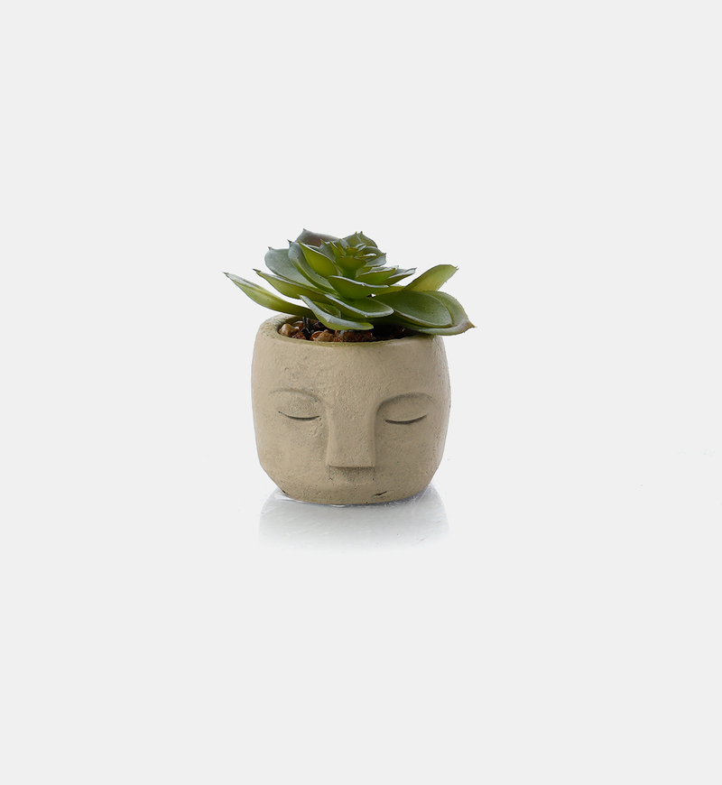 Artificial Plant-in-cement Pot