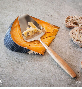 Oslo Stainless Steel Cheese Slicer