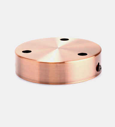 Steel Ceiling Rose 3-outputs