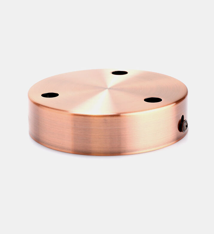 Steel Ceiling Rose 3-outputs