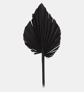 Home Deco and More Dried Natural Palm Spears, Black, 45-cm, Packshot View