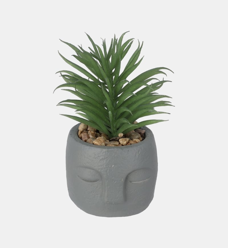 Artificial Plant-in-cement Pot
