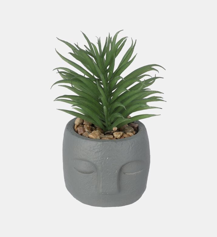 Artificial Plant-in-cement Pot