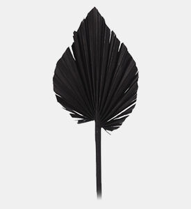 Dried Natural Palm Spears