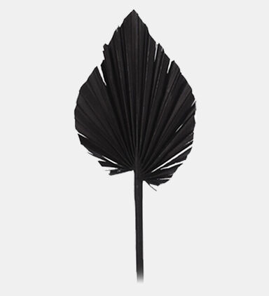 Dried Natural Palm Spears