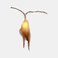 Feather Indoor Led Lights