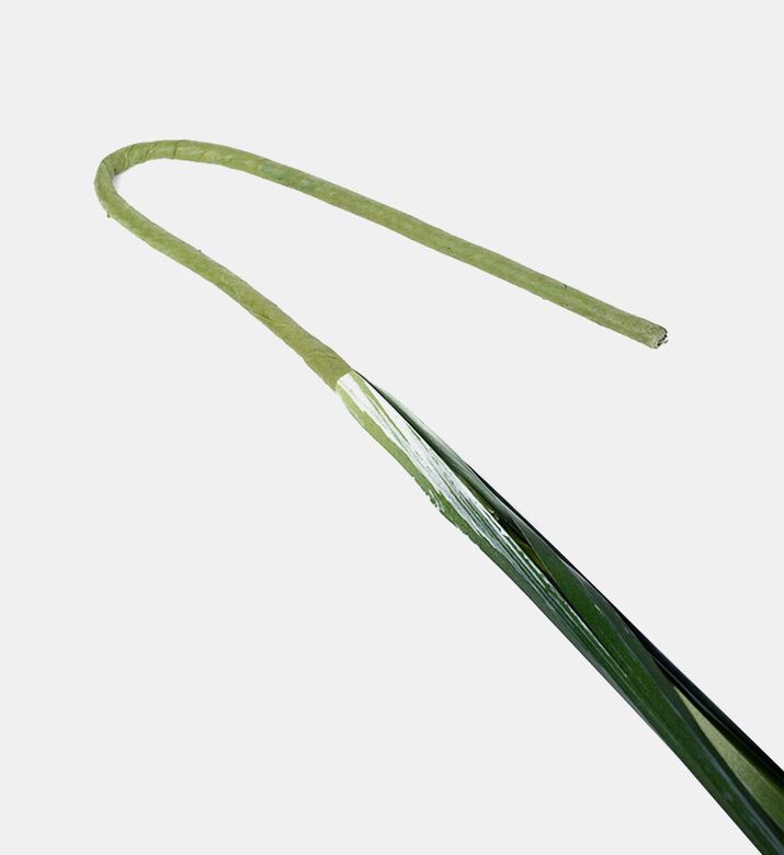 Edg Festuca Spiga Faux Branch, Green, Packshot View