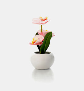 Home Deco and More Ceramic Pot Artificial Led Orchid, Packshot View