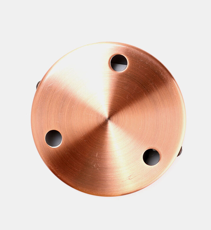 Steel Ceiling Rose 3-outputs