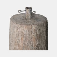 Pine Tree Trunk Base