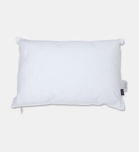 Home Deco and More Palma Cotton Filling Pillow, Packshot View