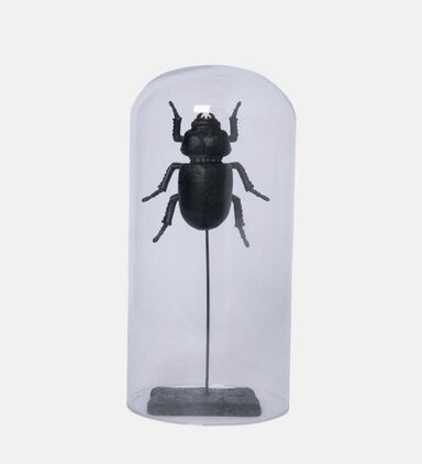 Thermoplastic Bell-insect Globe
