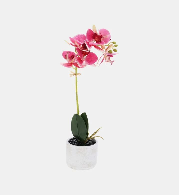 Home Deco and More Artificial Orchid Flower, Packshot View